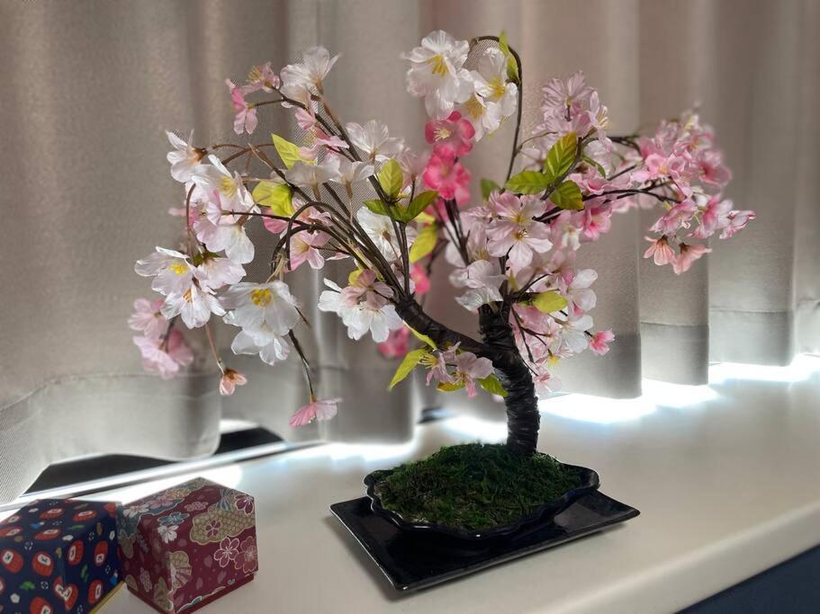 立石5丁目m401 Apartment *